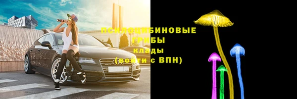 амф Аркадак