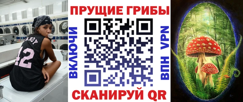 Псилоцибиновые грибы Psilocybine cubensis  Красный Холм 